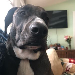 Meet your Posher, Mark